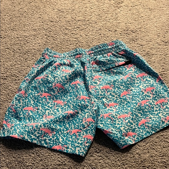 Chubbies Men Aqua and Pink Flamingo 🦩 Shorts - Picture 3 of 5